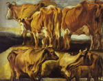 Study of Cows.