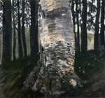Birch in a Forest.