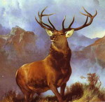 the monarch of the glen.