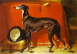 eos, a favorite greyhound, the property of h.r.h. prince albert.