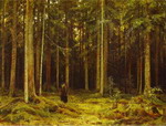 Countess Mordvinova's Forest. Peterhof.