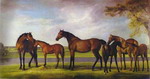 Mares and Foals Disturbed by an Approaching Storm.