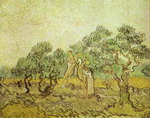 the olive orchard.