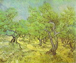 olive orchard. saint-r锟斤拷my.